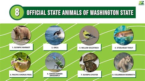 Discover The 8 Official State Animals Of Washington State Az Animals