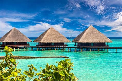 Water Villas Bungalows In The Maldives Stock Image Image Of Palm