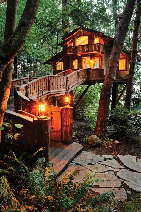 Treehouse Beautiful Tree Houses Cool Tree Houses Tree House Hot Sex Picture
