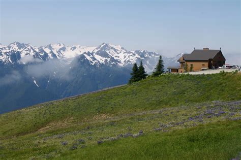 Cause Of Fire That Burned Hurricane Ridge Day Lodge Sought The Columbian