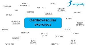 Types Of Cardiovascular Exercise Longevitypt Exercise Physiology