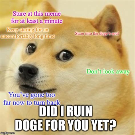 Have A Staring Contest With Doge Imgflip
