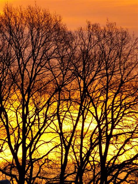 Landscape Of Sunrise Winter Skies Free Image Download
