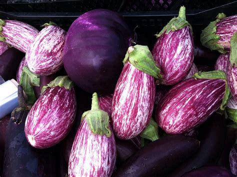 the incredible edible eggplant seacoast eat local