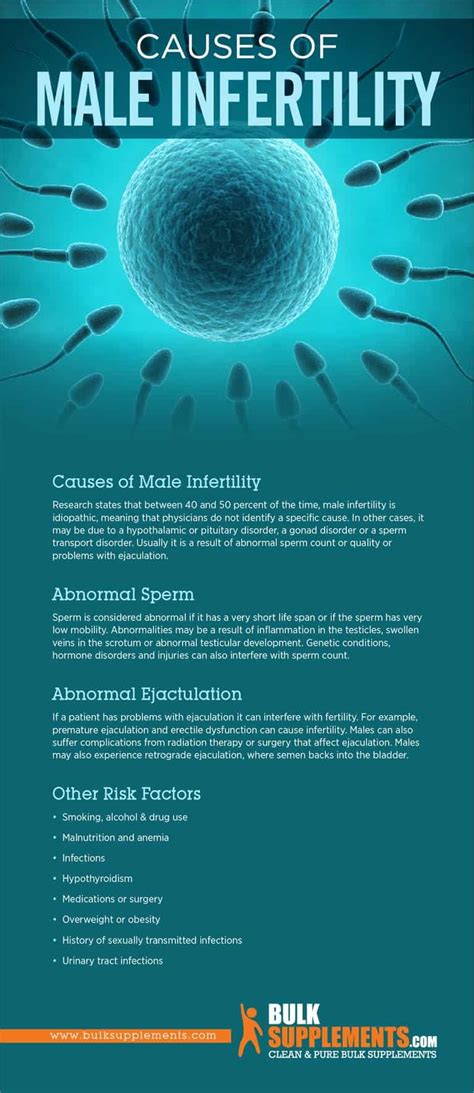 reasons for male infertility signs causes and treatment