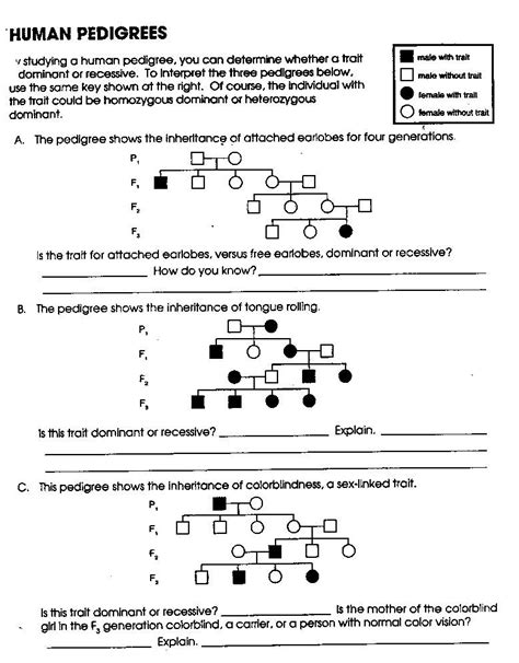 Pedigree worksheet answer key interpreting a human pedigree use the pedigree below to answer 1 5 1 in a pedigree a square represents a male if it is darkened he has hemophilia if clear he has normal blood clotting a how many males are there 8 b how many males have hemophilia. Genetics Practice Problems Pedigree Tables | Decoration ...