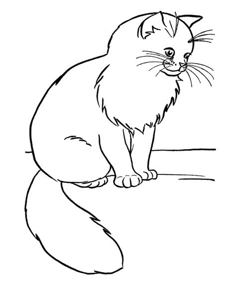 Cat Coloring Pages For Girls Coloring Home