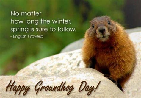 16 Best Groundhog Day Images On Pinterest Ha Ha Groundhog Day And