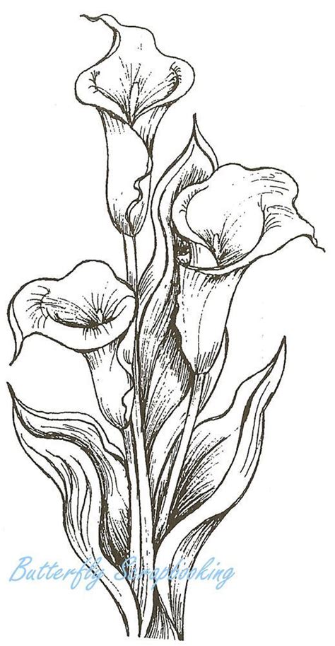 Calla Lily Bouquet Coloring Pages Bing Images Fabric Painting