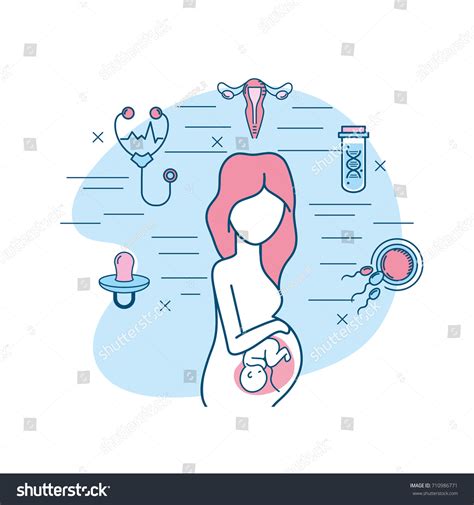 Woman Pregnancy Reproduction Fertilizacion Process Stock Vector