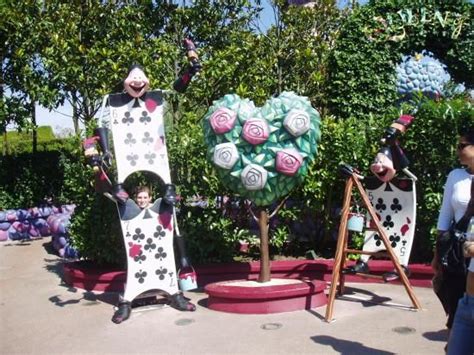 Disneyland Alice In Wonderland Alice In Wonderland Garden Alice In