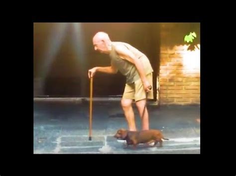 I lost my mother when i was young, she left me and my dad to live together with each other. ADORABLE Dog is Old Man's Best Friend | The Dodo - YouTube