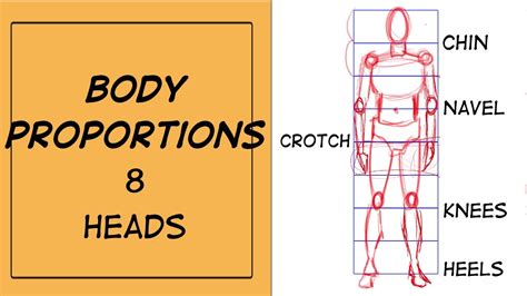 How To Draw The Human Body Proportions Correctly 8 Heads Youtube