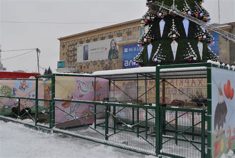 Об этом сообщили в горсовете. На площади Свободы в Харькове открыли мини-зоопарк к ...