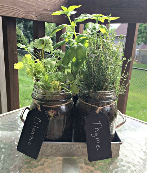 22 Mason Jar Indoor Herb Garden Ideas You Cannot Miss Sharonsable