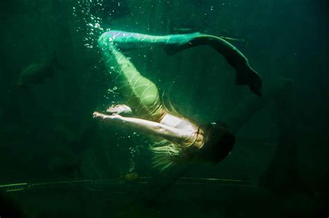Professional Mermaids Say Merverts Are Making Their Lives A Hassle