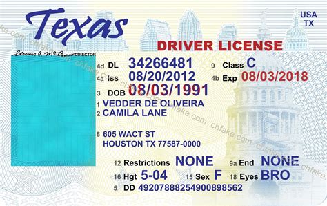 Printable Fake Drivers License Template