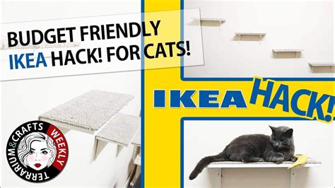 Cats love to climb, jump, leap, and perch high up! Ikea Hacks - Cat Shelves | Cat Wall Shelves on a Budget ...