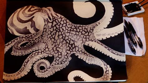 Tim Jeffs Art Art Drawings Octopus