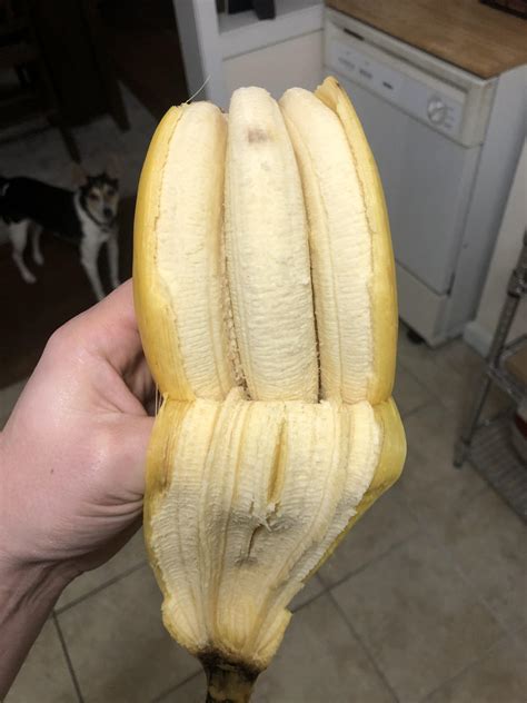 Three Bananas Connected By One Skin Rmildlyinteresting