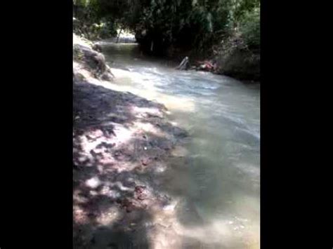 19 mart 2011 cumartesi, 00:15. Abg mesum di kali - YouTube