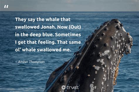 35 Whale Quotes To Help You Be Calm And Hopeful