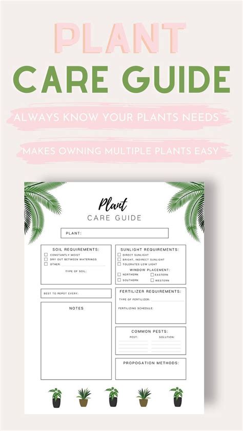 Plant Care Guide Printable Plant Care Sheet Big Happy Planner Us