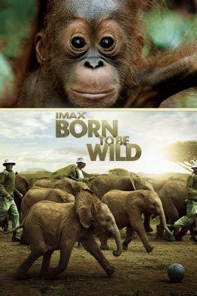 Watch Born To Be Wild Imax Full Movie Online Directv