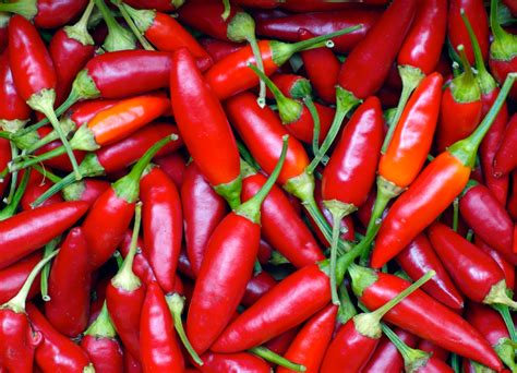 Spicy Red Pepper May Curb Appetite | Weight Loss Surgery, Surgeons, and ...