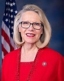Carol Miller (politician) - Wikipedia