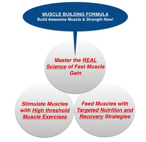 The Complete Muscle Building Guide To Build Muscle Gain Mass And Get Big