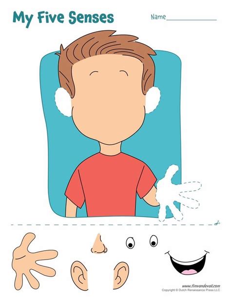 5 Senses Cut And Paste Worksheets Printable Kids Entertainment