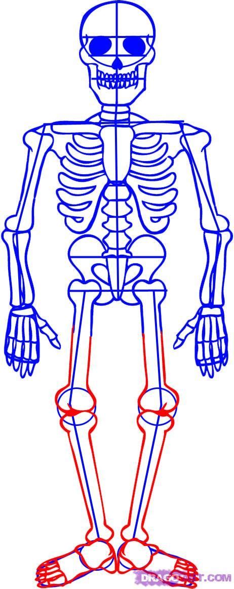 How To Draw A Human Skeleton Easy Human Draw Bones Skeletons Drawdoo