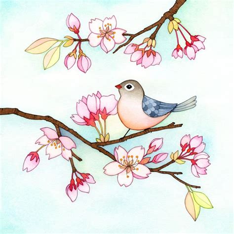Cherry Blossoms Bird Art Bird Drawings Birds Painting