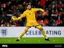 Montenegro goalkeeper Milan Mijatovic Stock Photo - Alamy