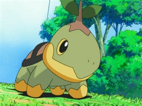 Gardenias Turtwig Anime Pokémon Wiki Fandom Powered By Wikia