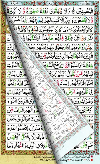 Quran 411 Quran E Hakeem 16 Lines Color Tajweed