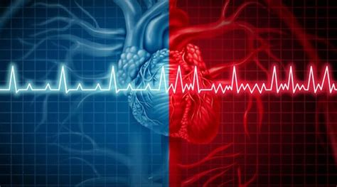 Ritmo Cardíaco ¿qué Es Definición Y Significado