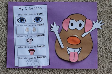 The Johnson Journey Unit Theme 5 Senses Five Senses Preschool