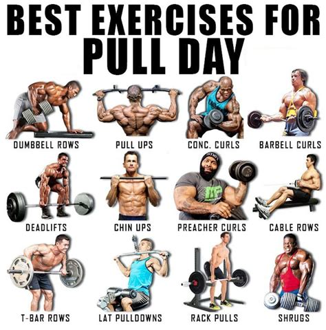 Best Pull Exercises Gym