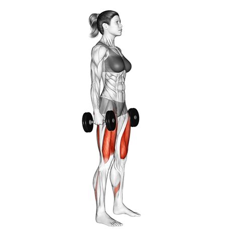 6 Best Compound Dumbbell Exercises With Pictures Inspire Us