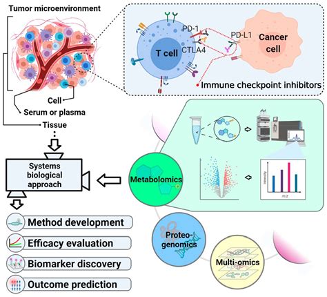 Ijms Free Full Text The Comprehensive “omics” Approach From