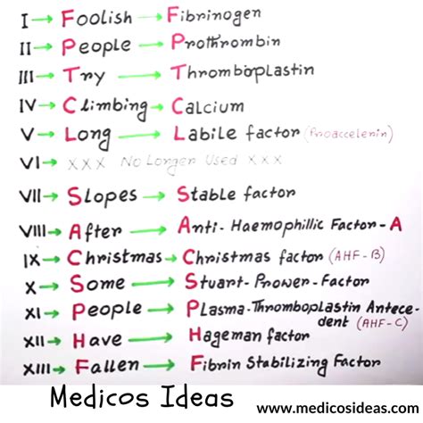 Coagulation Factors Cascade Easy To Learn With Mnemonics And Diagram