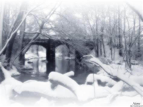 1120239 Forest White Monochrome Minimalism Snow Winter Wood Ice