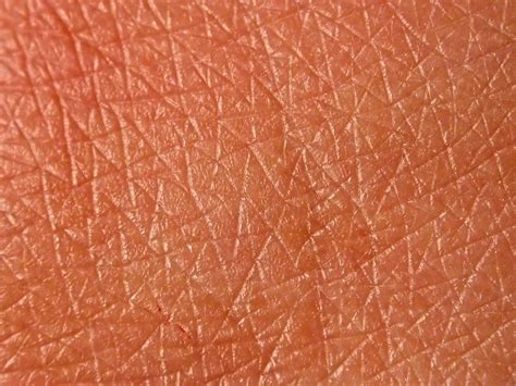 This Human Skin Human Skin Texture Human Skin Color Texture Photography