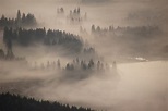 7 Consejos para Hacer Fotos en la Niebla Geniales