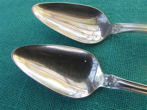 1908 Arbutus Pattern Knives Spoons Forks By Wm Rogers And Sons Silver