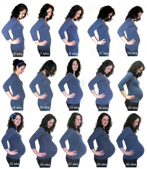 Pregnant Belly Gallery Week Pregnantbelly