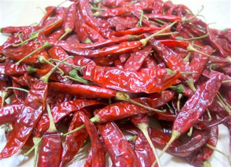 Jiyan Food Ingredients New Export Quality Dried Red Teja Chilli At Best