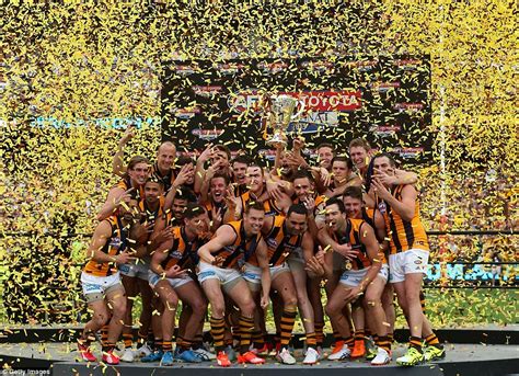 Afl Grand Final 2015 Sees Hawthorn And West Coast Eagles Battle For